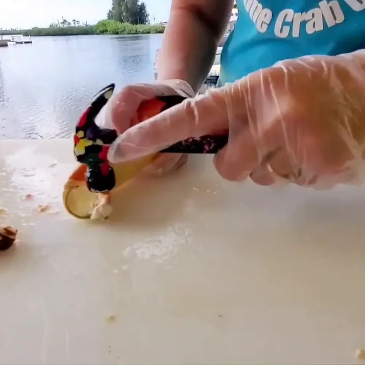 Tapping a stone crab claw with a small hammer on a cutting board