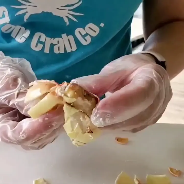 Gloved hands twisting the knuckle meat out of a cracked claw