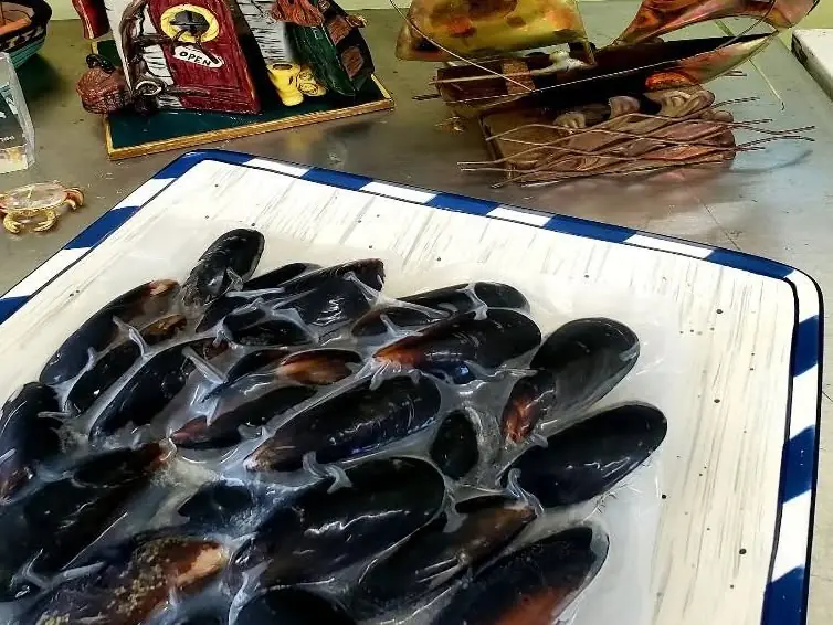 Black mussels