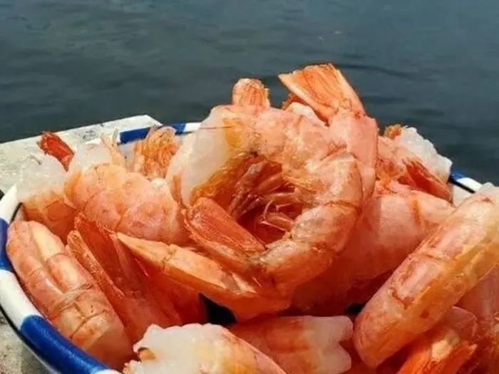 Argentine red shrimp