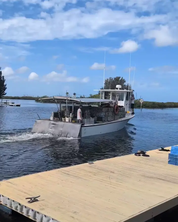 Our boat pulling away from the dock, loaded with traps